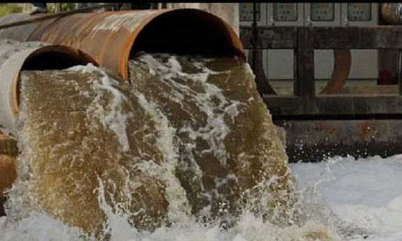 gw-company--slider (2)